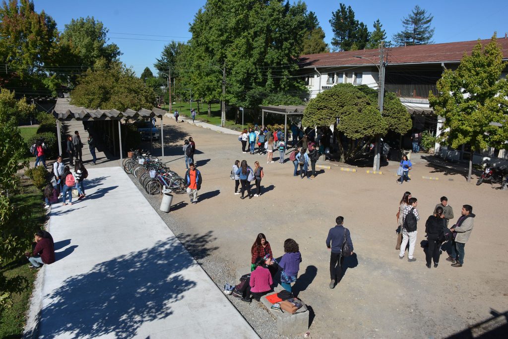 Educación y Pedagogías como ejes fundamentales en una universidad pública